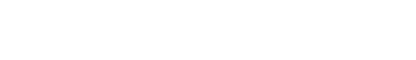 New Orleans Hospitality Authority